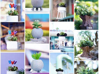 Product Photography for Galactic Garden Arts