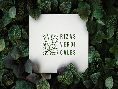 Rizas Verdicales | Brand Identity branding cuba garden graphic design green identity leaf logo logotype root vertical garden