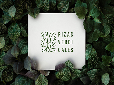 Rizas Verdicales | Brand Identity