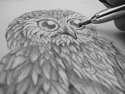 Owl Sketch graphite illustration owl sketch sketch book