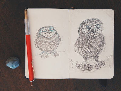Owl Sketches graphite illustration moleskin owl sketch sketch book