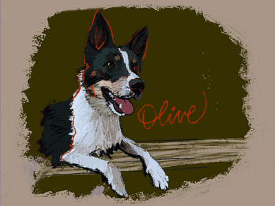 Olive digital art digital illustration dog illustration olive procreate puppy sketch