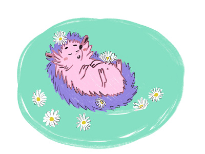 Hedgehog in a daisies animals art cute daisies hedgehog illustration minimal