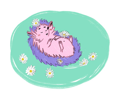 Hedgehog in a daisies