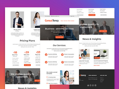 Consulting PSD Template