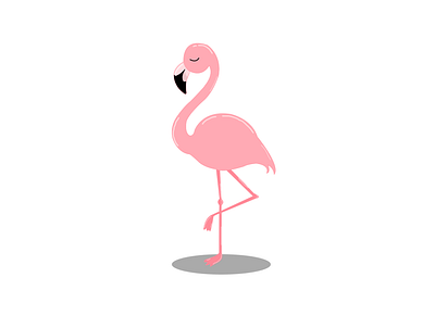 Flamingo adobe amateur amateur art art artist artistic artwork character design design designing digitalart graphic illustration illustrator photoshop