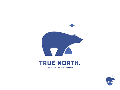 Arctic Provisions bear glacier north north star poler poler bear star true north