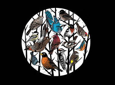 Backyard Bird Illustration birds blue jay carved chickadee drawing finch illustration nuthatch robin sparrow stamp woodblock