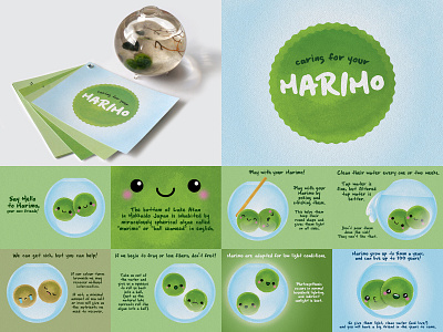 Marimo Care Guide book booklet characterdesign design illustration