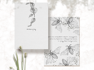 Postcard with silkworm graphic illustration design graphic graphicdesign illustration polygraphy postcard silkworm