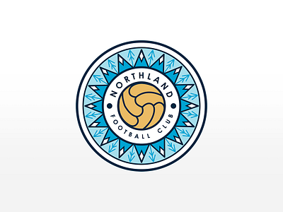 Football club logo branding football graphicdesign logo logotype soccer soccer logo symbol vector