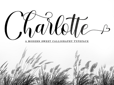 Charlotte Script branding calligraphy design dribbble invite font handmade illustration logo modern typography ui website wedding