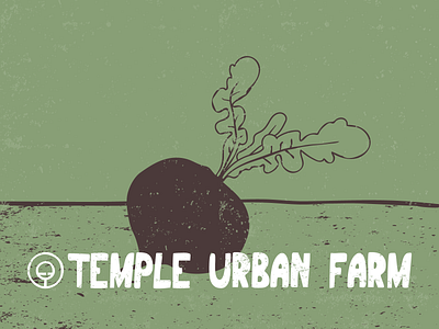 Temple Urban Farm Identity branding identity logo design