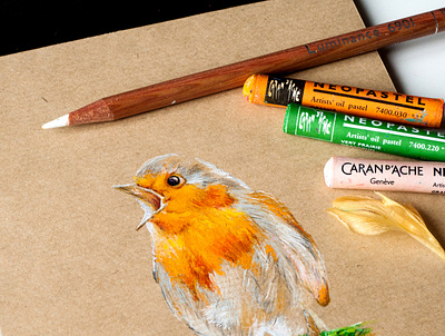 robin bird art artwork illustration pastel color pencil art