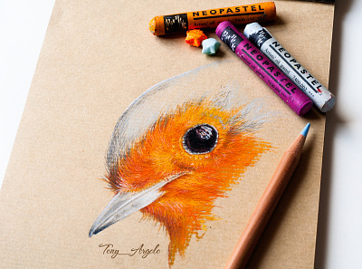 Robin Bird art artwork colored pencil concept corporate design illustration layout oil pastel pencil art presentation production