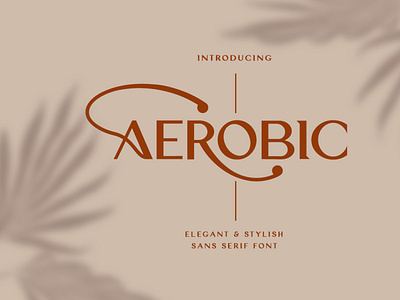 Aerobic Font