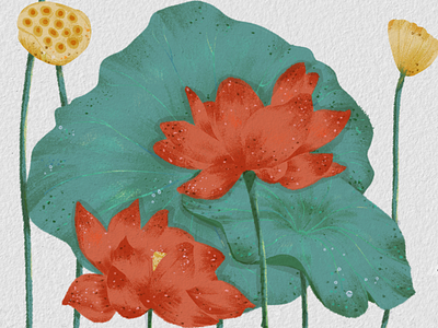 Lotus illustration