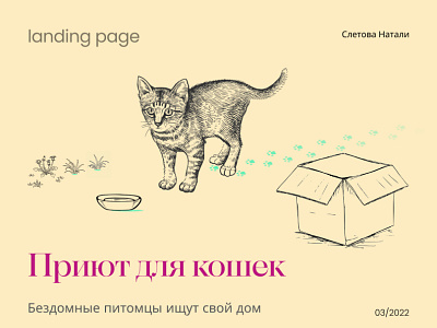 Shelter for cats app branding design graphic design illustration logo typography ui ux vector