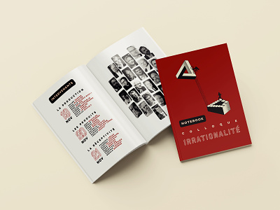 Colloque Irrationalité (2019) - Laying out event branding illusion illustration page layout print