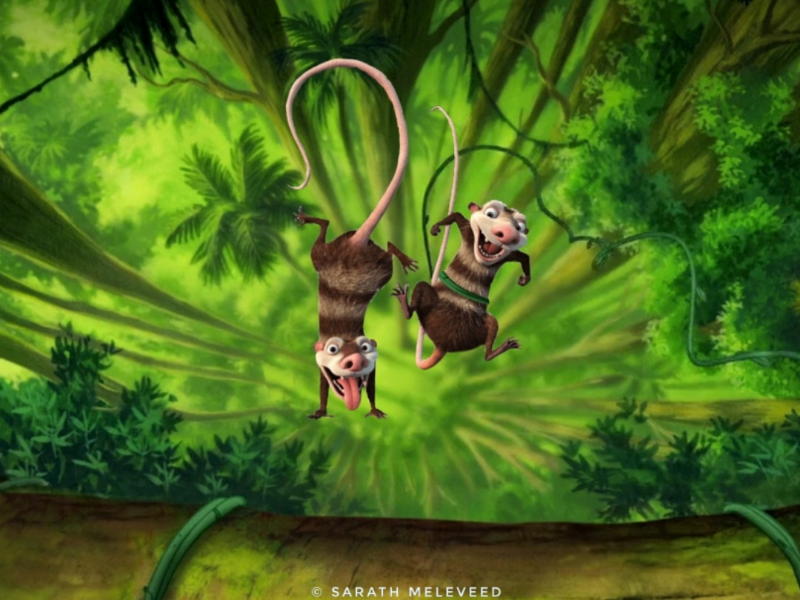 Crash & Eddie by Sarath Meleveed on Dribbble