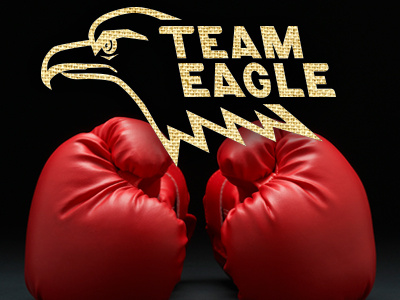 Team Eagle hand lettering lettering logo typography