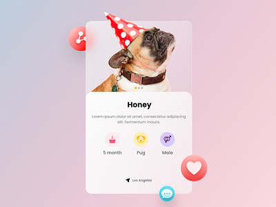 Animal Profile Card 2021 trend animal card design dog figma figmadesign glassmorphism profile profile card profile design ui ux