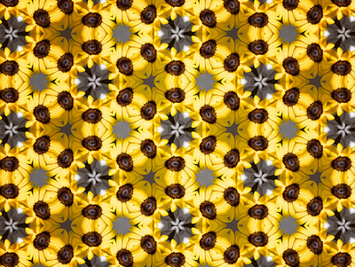 Sunshine black branding design graphic design pattern yellow