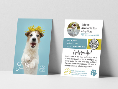 Trading Card Design adoption brand branding card design dog marketing paper pet photo print print design qr trading card typography