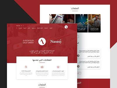 nassej branding landing landingpage ui