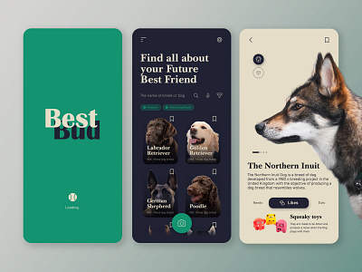A Dog Lover's Resource to find his/her Best Bud! app design dog dogs friend mobile ui