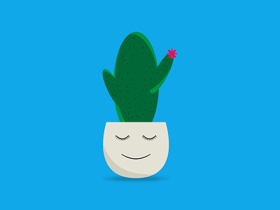 sleepy cactus