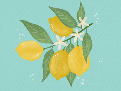 Lemon branches botany design floral flowers hand illustration procreate summer