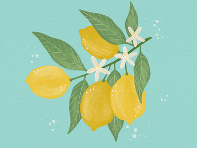 Lemon branches