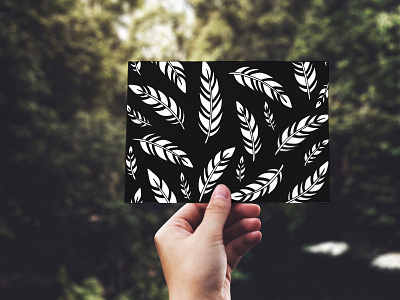 Black and White Feathers Card