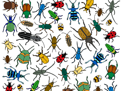 Beetles Pattern beetles bugs design drawing forest illustration insects nature pattern woods