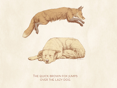 The quick brown fox jumps over the lazy dog. a to z animal illustration animals childrens book illustration cute animal digital art dog illustration drawing fox illustration golden retriever lazy dog pet portrait photoshop art puppy quick brown fox red fox vintage style