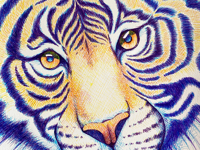 Colorful tiger animal art animal illustration big cat colorful crosshatching detail drawing eyes illustration markers pen drawing tiger