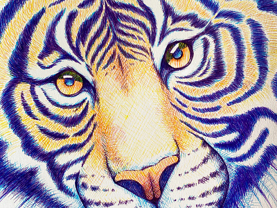 Colorful tiger