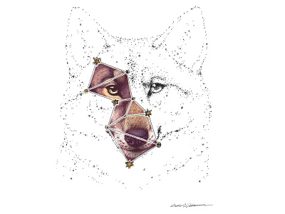 Wolf constellation animal art animal illustration astrology constellation constellations digital art drawing lupus pen drawing stars wolf