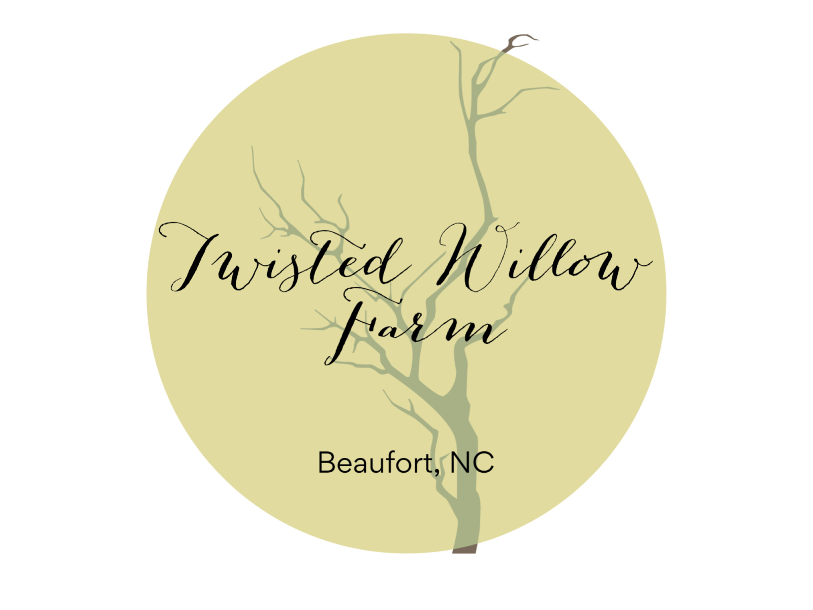 Twisted Willow Logo by Stacy Macklin on Dribbble