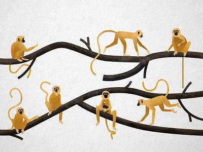 Monkeys on a branch branch monkeys