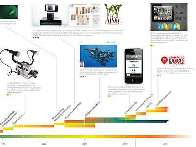 Career Timeline career portfolio resume timeline