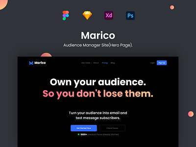 Marico - Audience Manager Site afterglow audience clean dashboard data lead management tool manager managment marketing minimal static statistic system targeted audience web ui webdesign