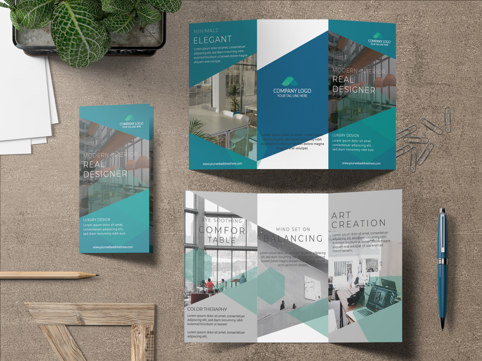 Trifold Brochure by Oindrilla Mukherjee on Dribbble