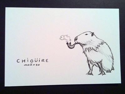 Chigüire Mañoso capybara chigüire illustration ink personal work random