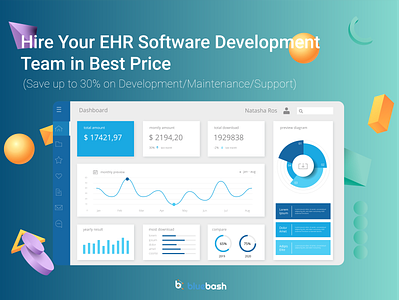 Hire EHR Software Development Team | Bluebash branding ehr ehr software illustration