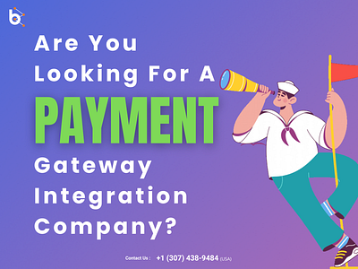 Payment Gateway Integration Company - Bluebash branding design ehr ehr software graphic design illustration logo ui ux vector