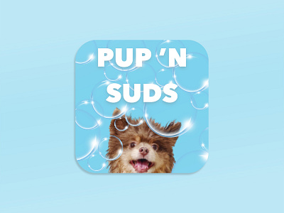 DAILY UI 005 - APP ICON PUP N SUDS app design daily 100 challenge dailyui dailyuichallenge product design typography ui uidesign ux design uxui