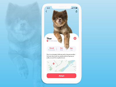 DAILY UI 006 - USER PROFILE - Dog Adoption App app design daily 100 challenge dailyui dailyuichallenge dog pet care product design typography uidesign ux design uxui