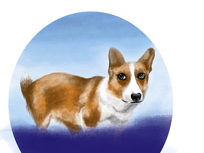 Corgi adobe adobefresco adobeillustration animation art attractive eyes branding corgi corgicommunity corgilovers corgination corgipuppu digitalpainting dog doglover dogs during quarantine eyes illustration lovefordogs